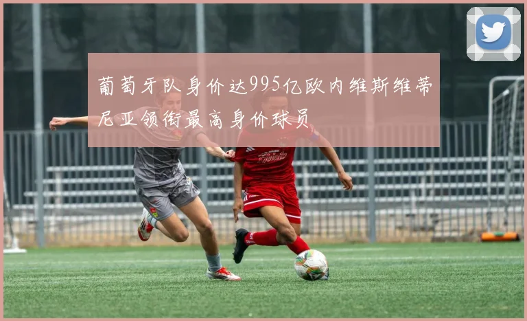 葡萄牙队身价达995亿欧内维斯维蒂尼亚领衔最高身价球员